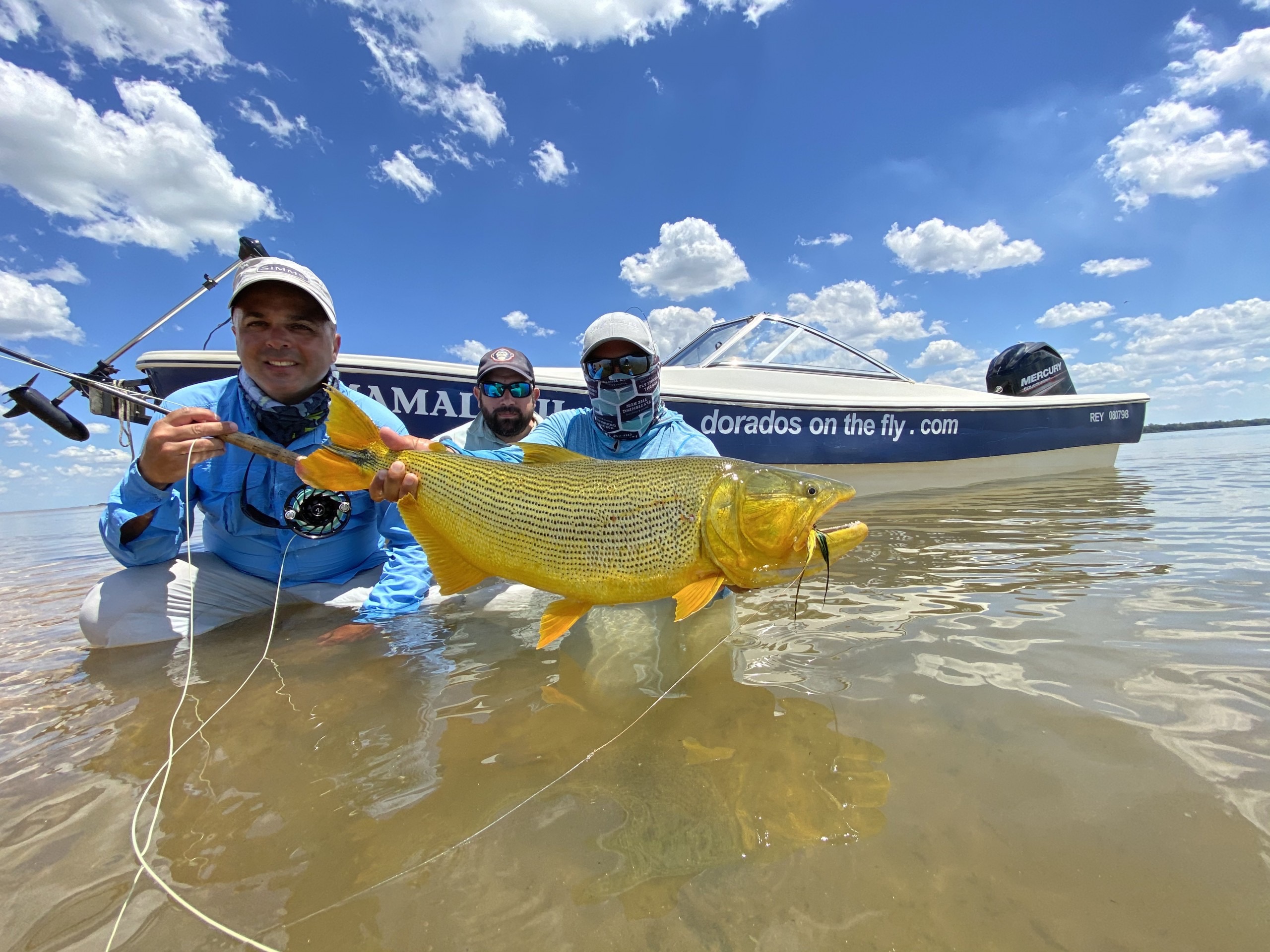 Pinti's Dorado on the Fly - Argentina Golden Dorado Fishing