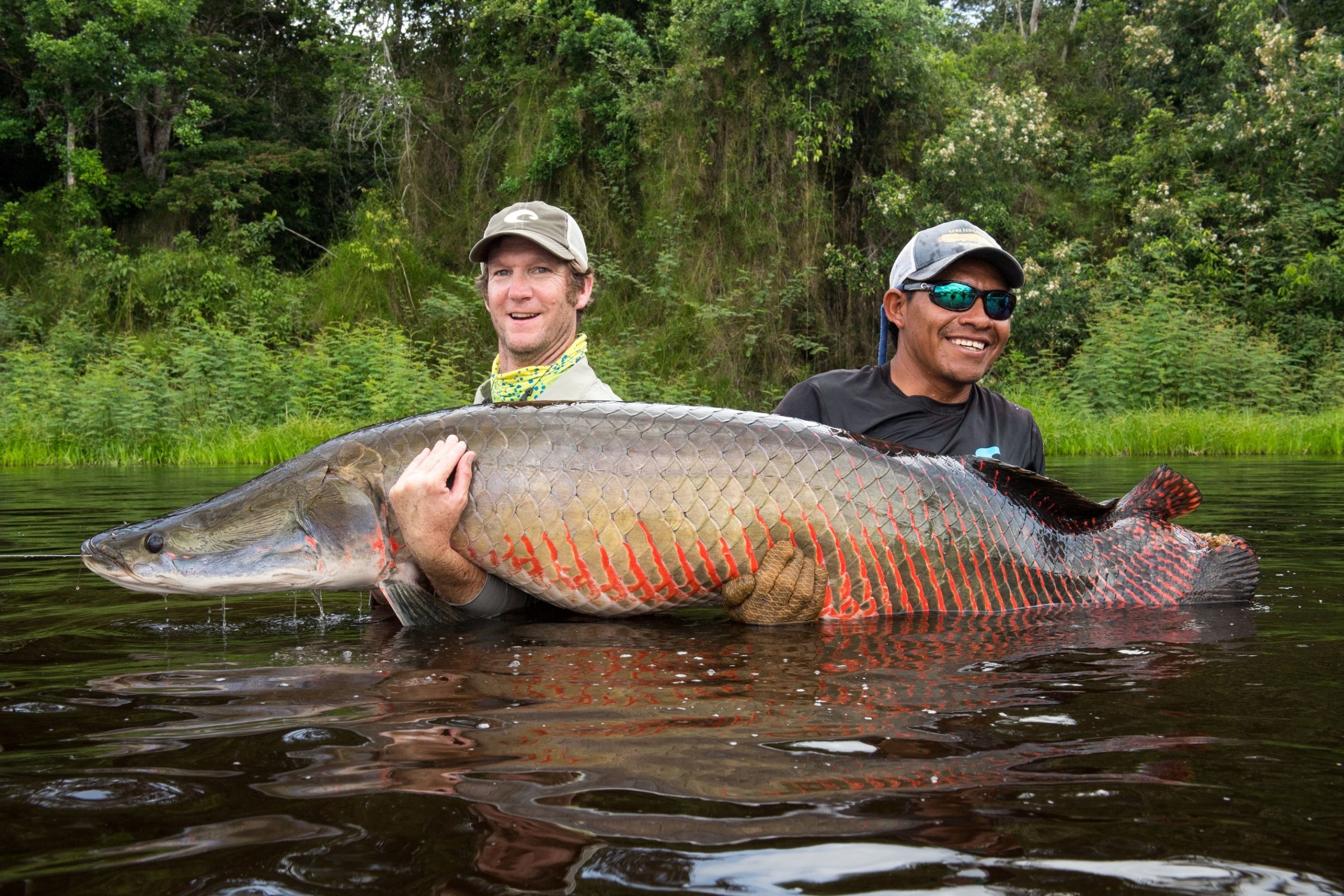 Guyane Fish Rewa-Eco Lodge - Guyana Arapaima Fishing | Yellow Dog Flyfishing