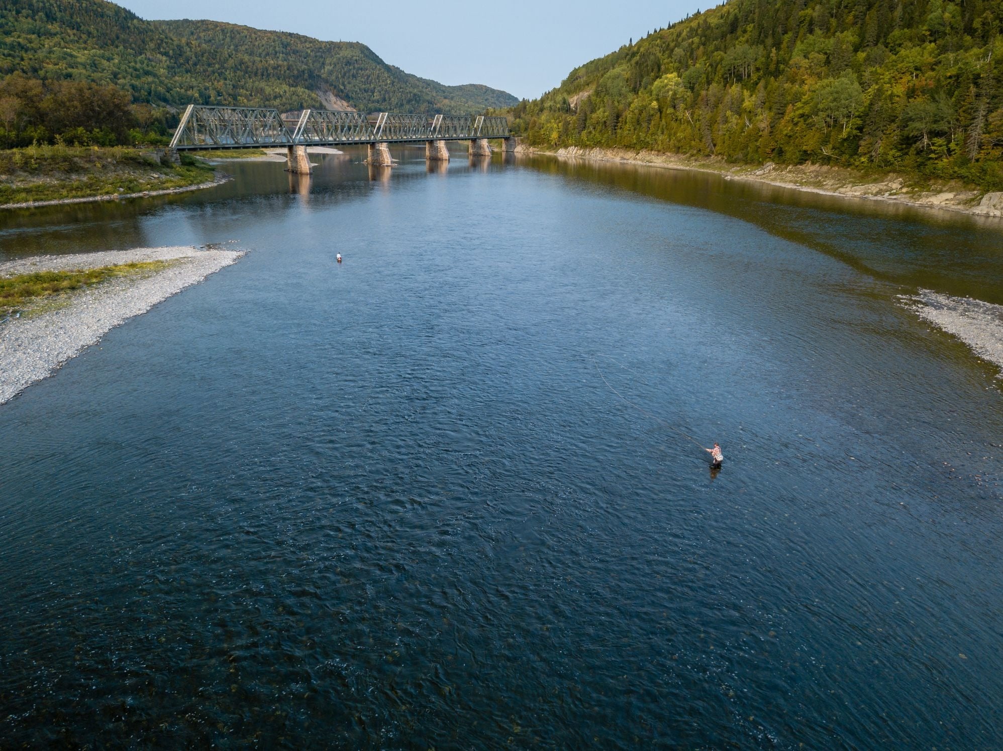 Restigouche River Lodge Canada Atlantic Salmon Fishing Yellow Dog