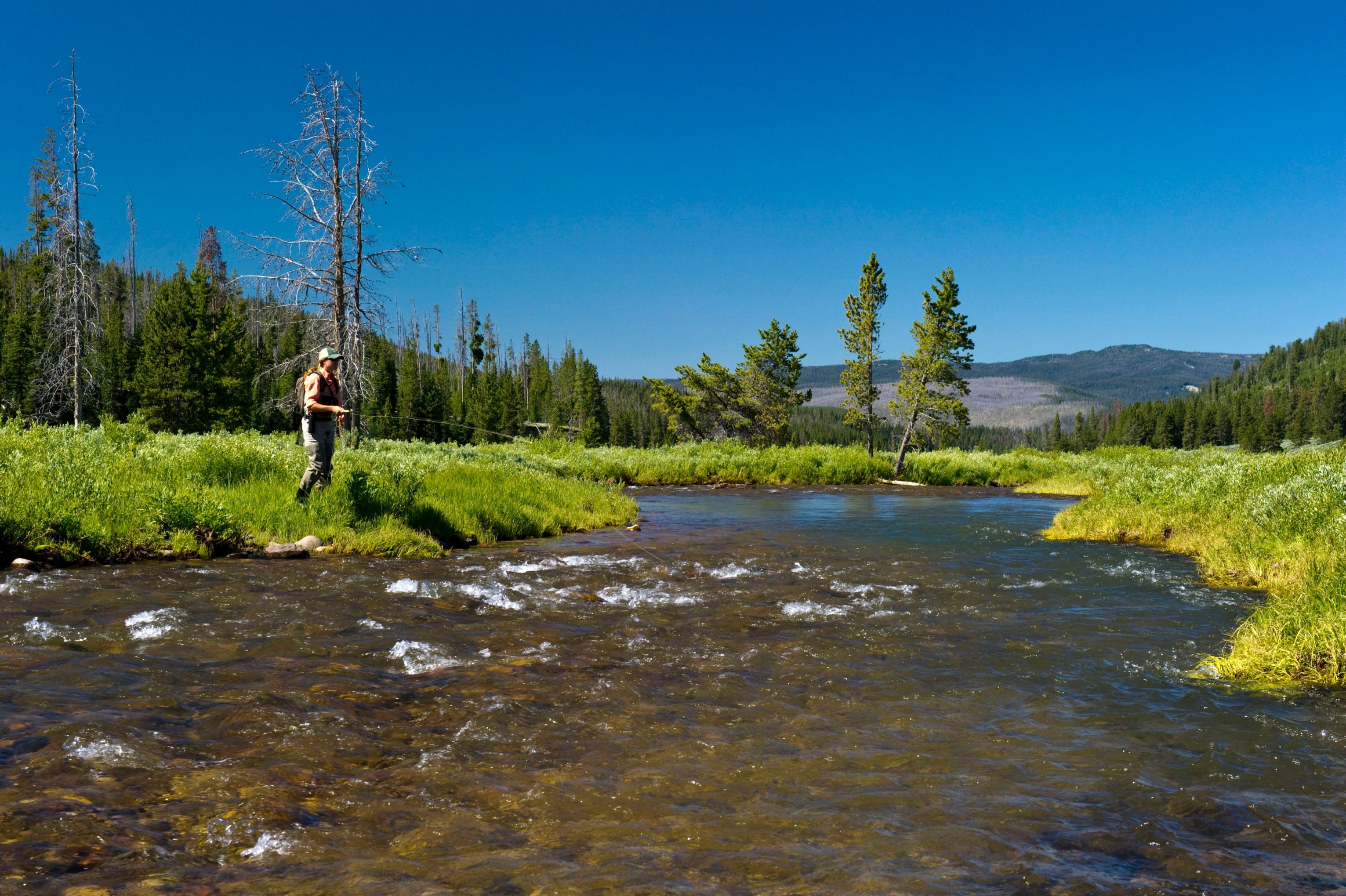 Experience Autumn in the Rockies: Fly Fishing for the Colorado Grand Slam -  American Forests