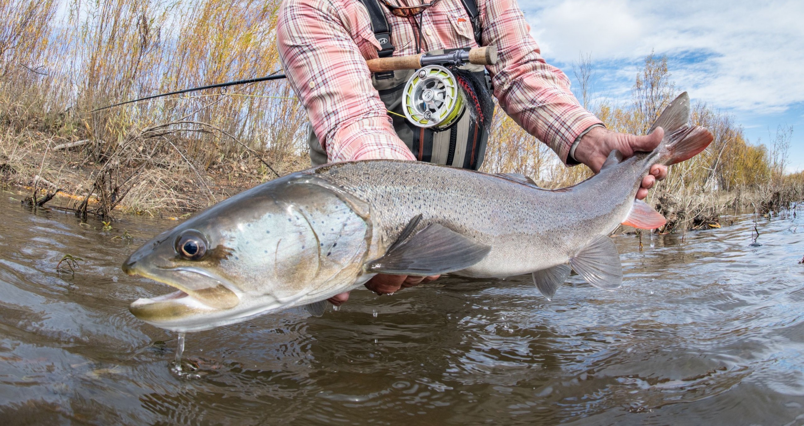Fly fishing is more challenging than conventional fishing — so why bother?  — Charley May Fly Fishing