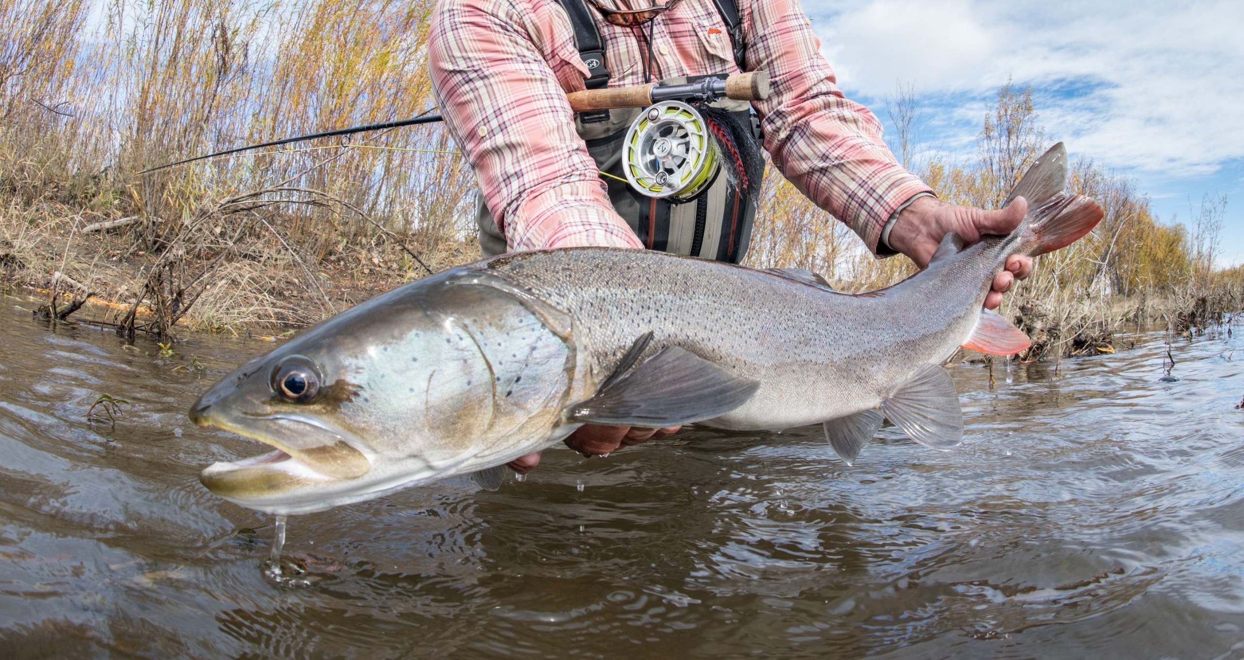 Patagonia Fishing Packs – Troutwater Fly Shop & Guide Service