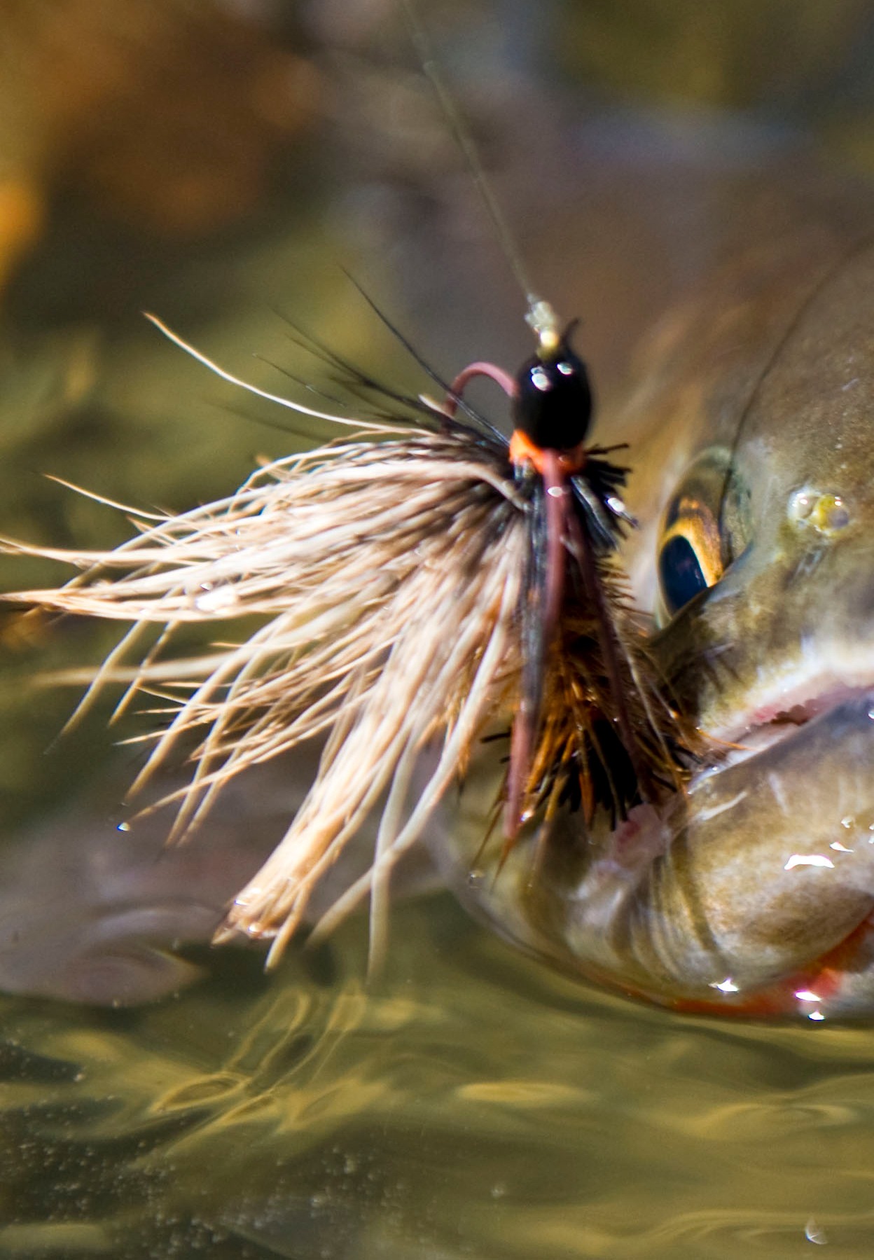 Fly Fishing Flies Emergency Preparedness Kit Bass And Salmon