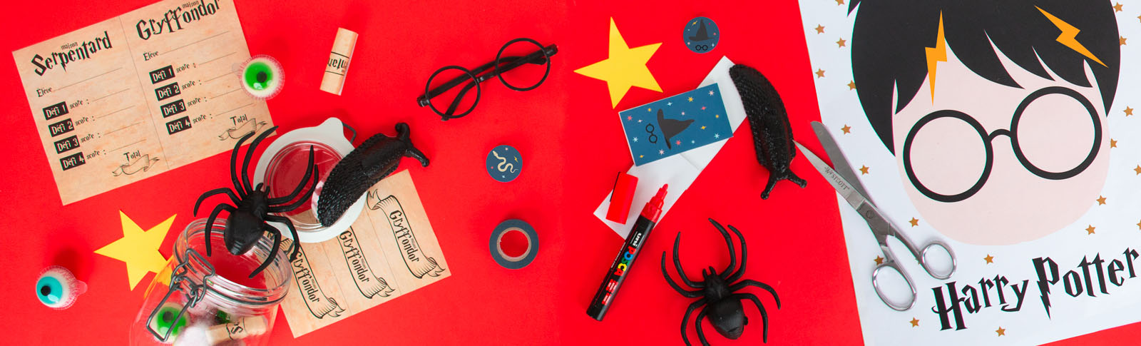 Ideas for a harry potter themed birthday