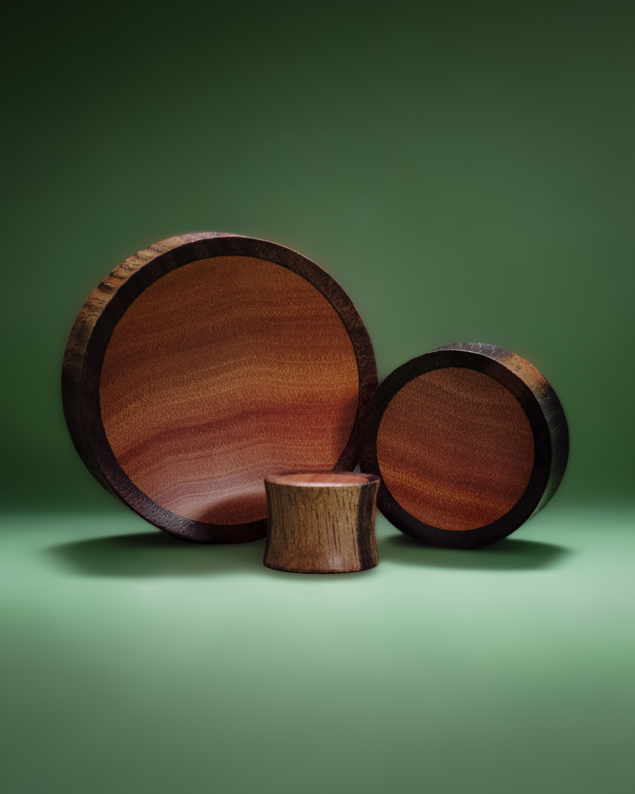  Ebony- und Saba-Holz Plugs für gedehnte Ohren