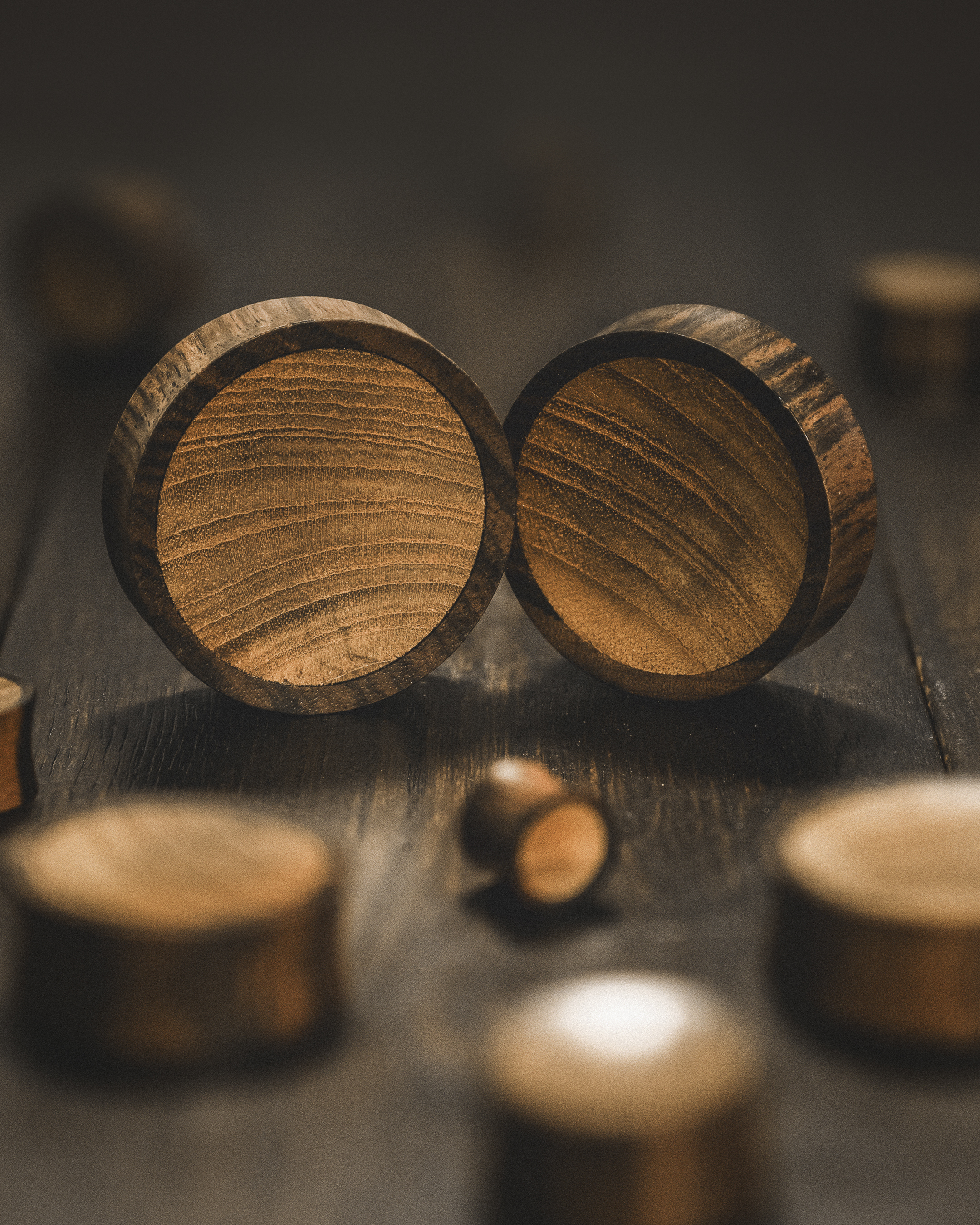 Unique  Ebony And Teak Wood Ear Plug / Gauge
