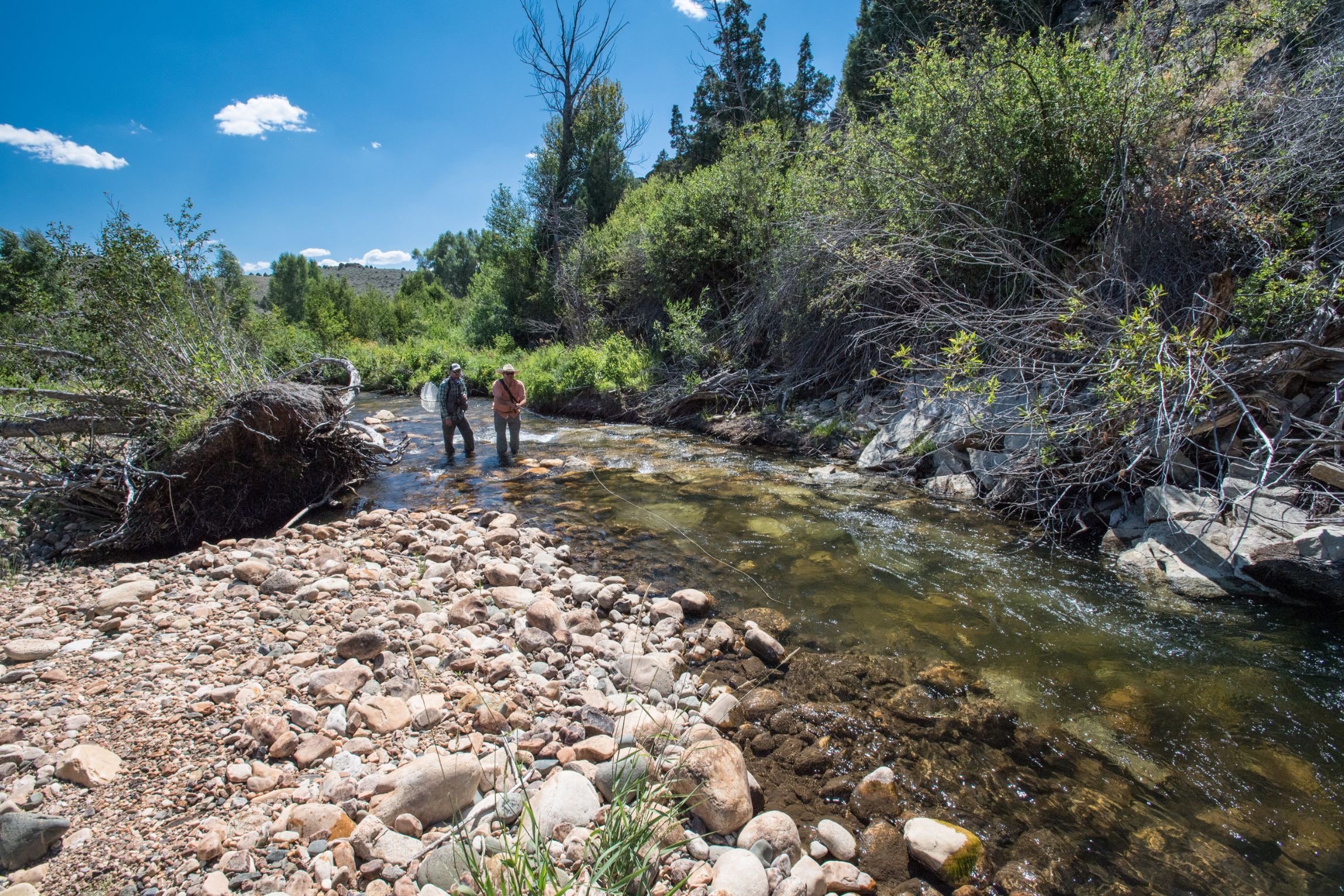 French Creek Sportsmen's Club