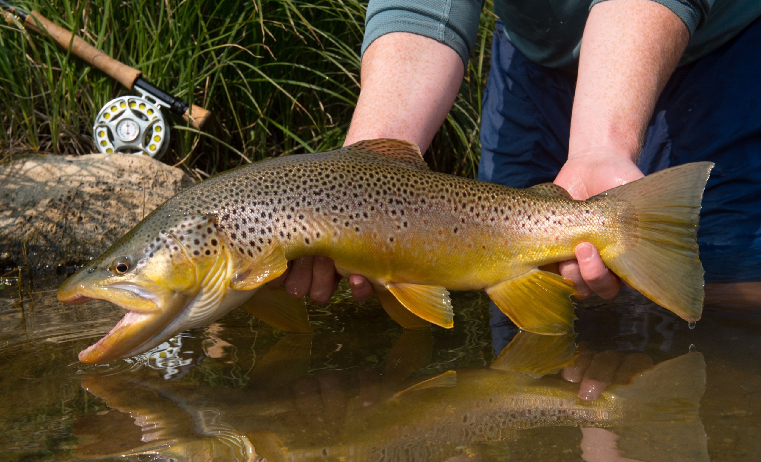New & Exciting Fly Fishing Products 2014 - Bighorn Trout Shop