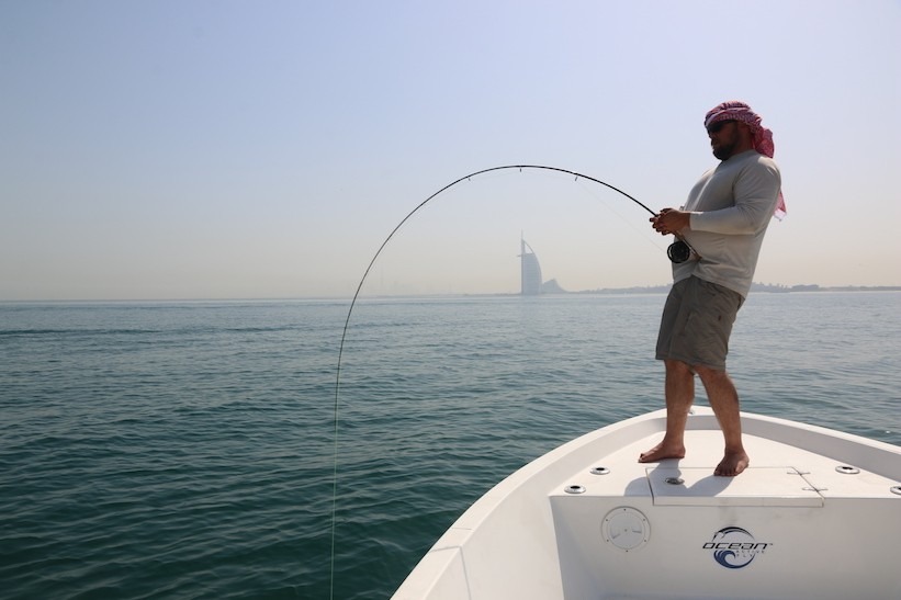 Fishing Rods for sale in Dubai, United Arab Emirates