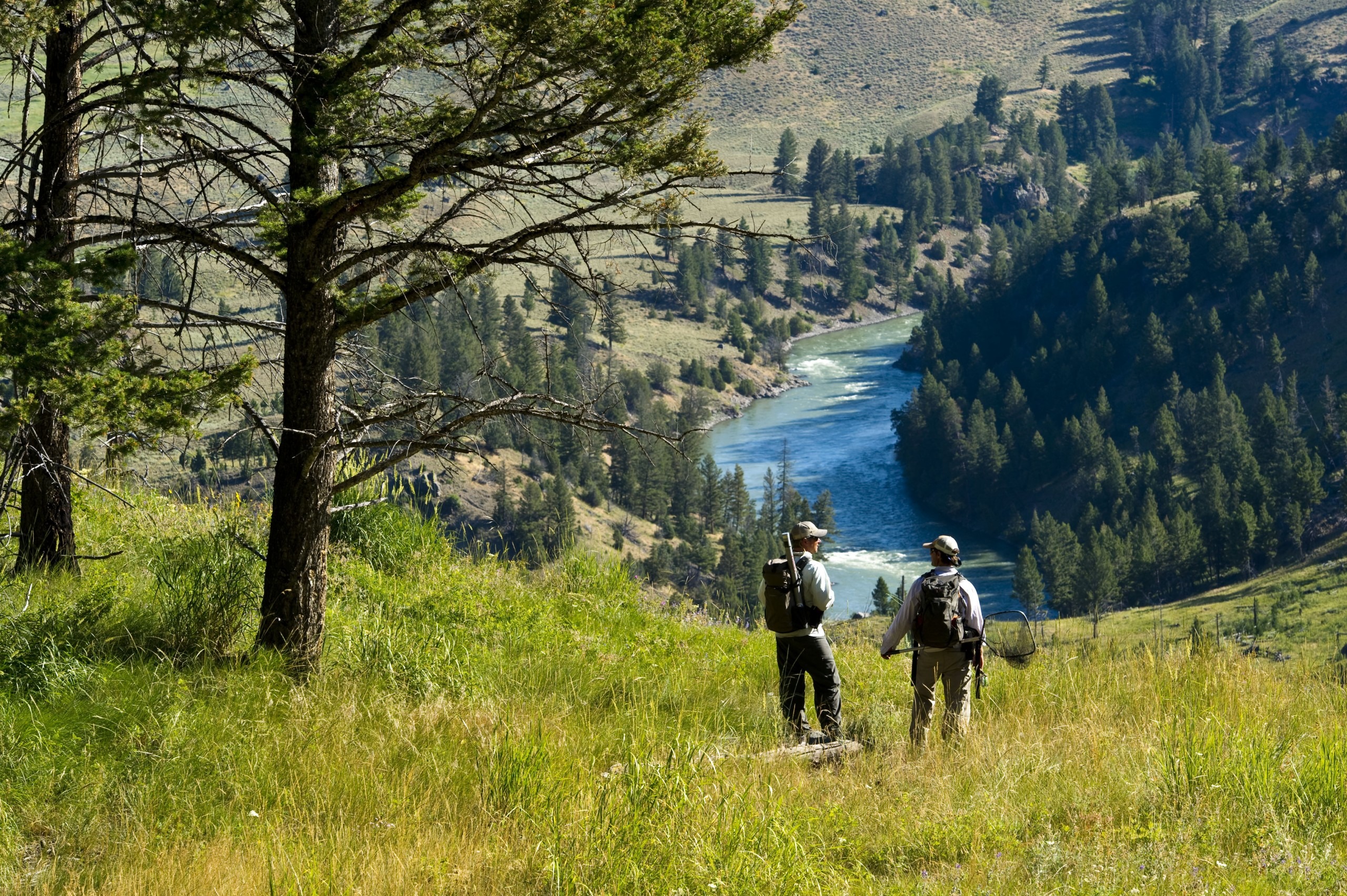 Big Sky / West Yellowstone Fly Fishing Day Trips