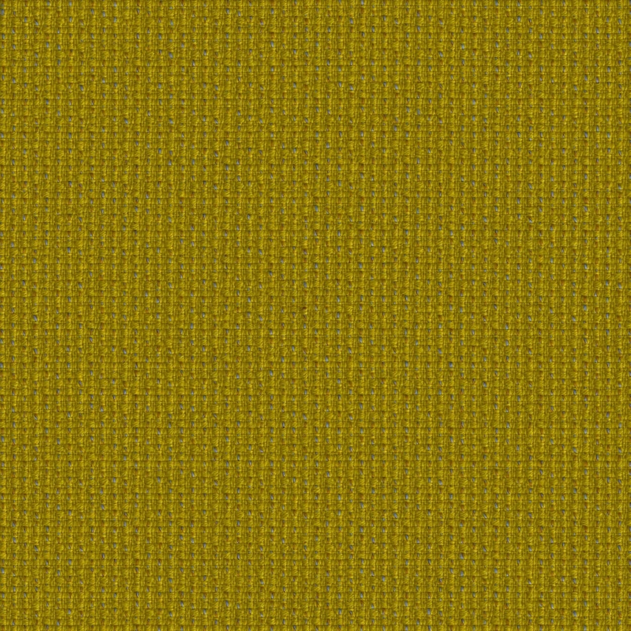 Dijon-Twisted Flower 0462
