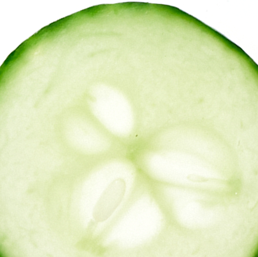 cucumber aroma