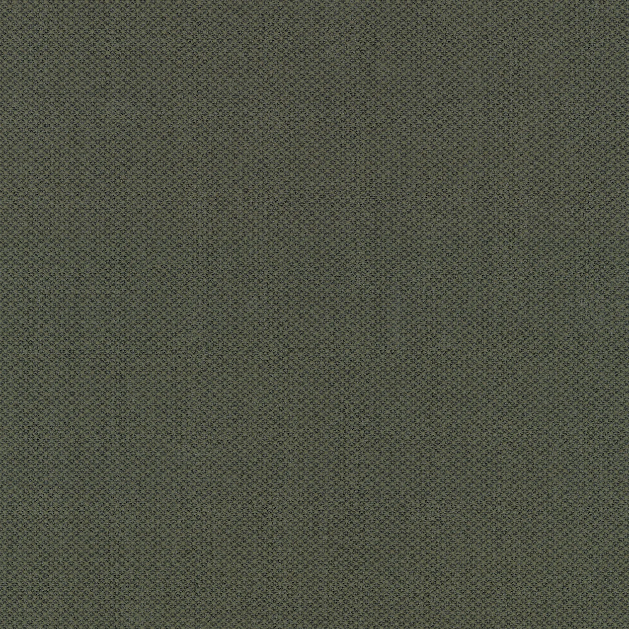 Grey-Fiord 961