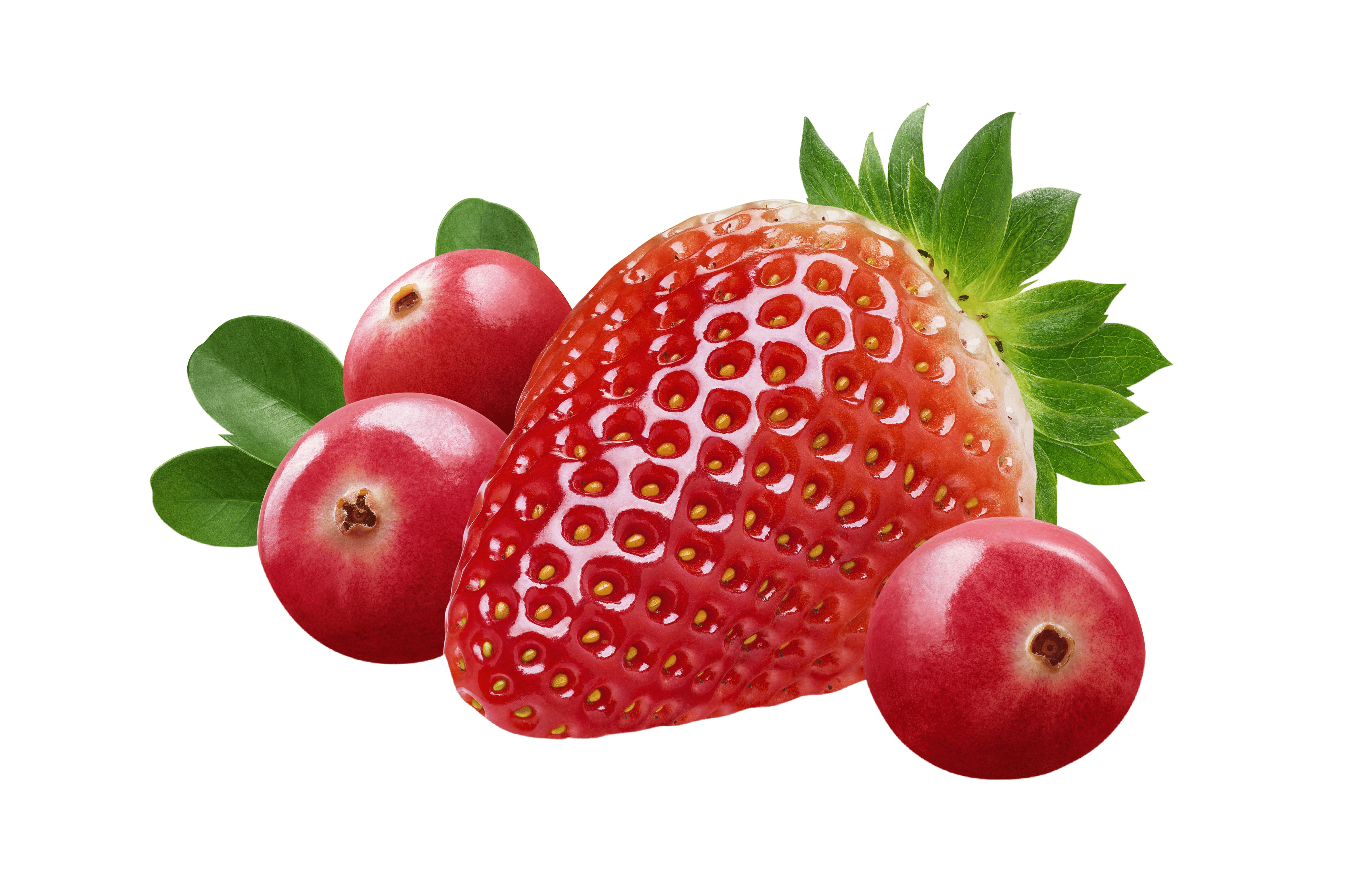 Organic Strawberry & Cranberry