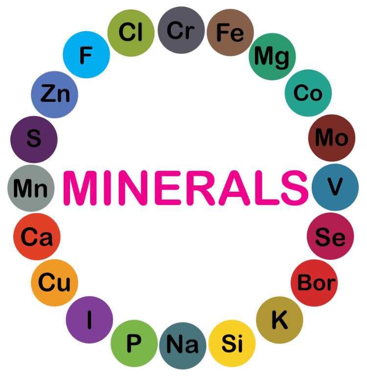 How to Increase Potassium Increase your potassium intake with Teeccino
