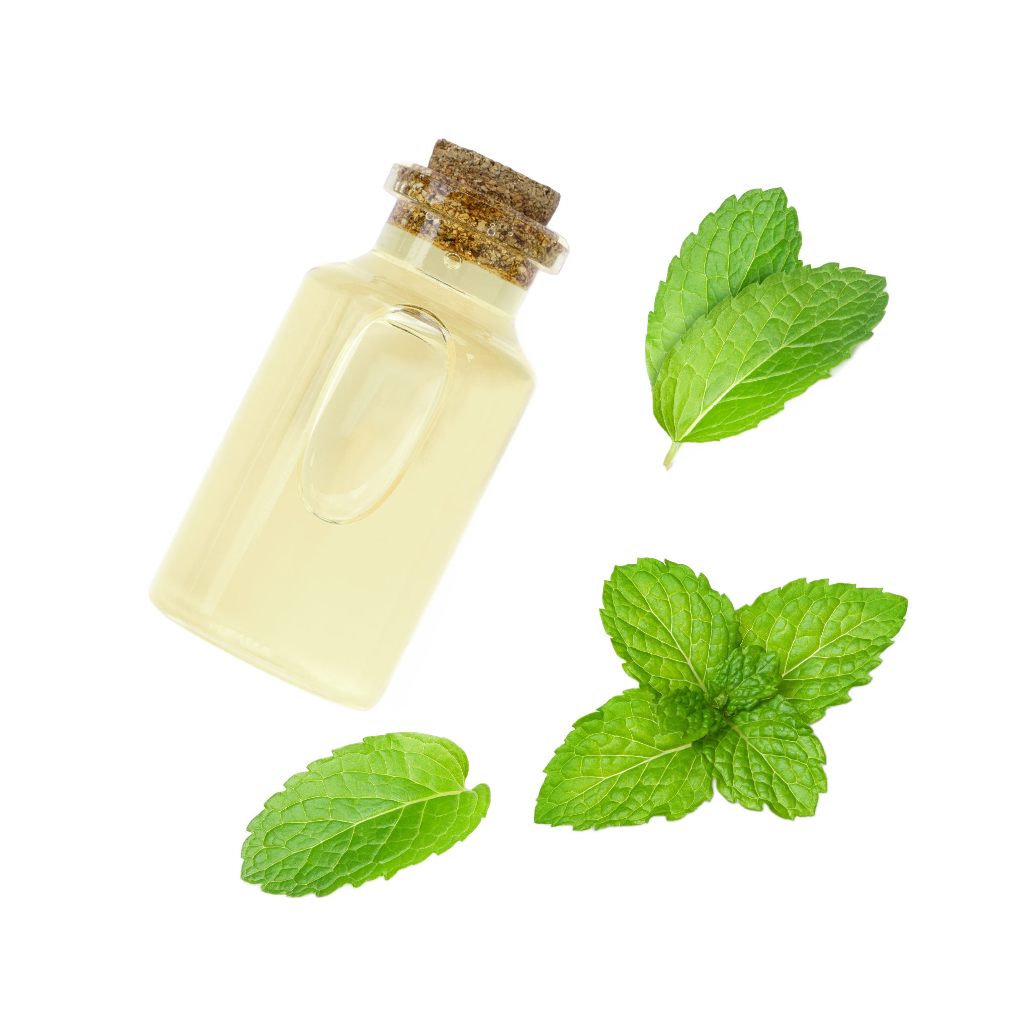 Peppermint Oil