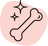 Calcium and vitamin D are important players in bone health and prevention of dietary deficiency.