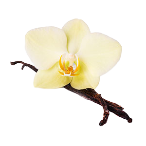 Noble Diamond Salon Starter Kit