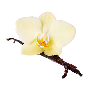 Collagen Gloves Imperial Gold