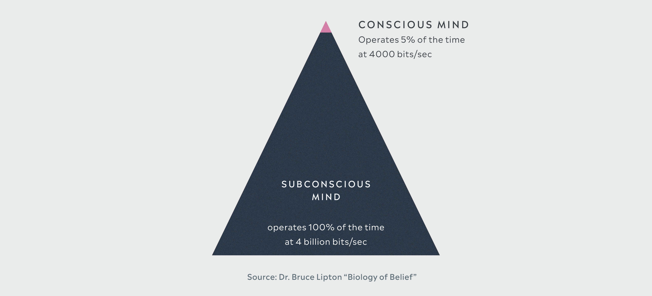 Why do we work with the subconscious? – QEC Living