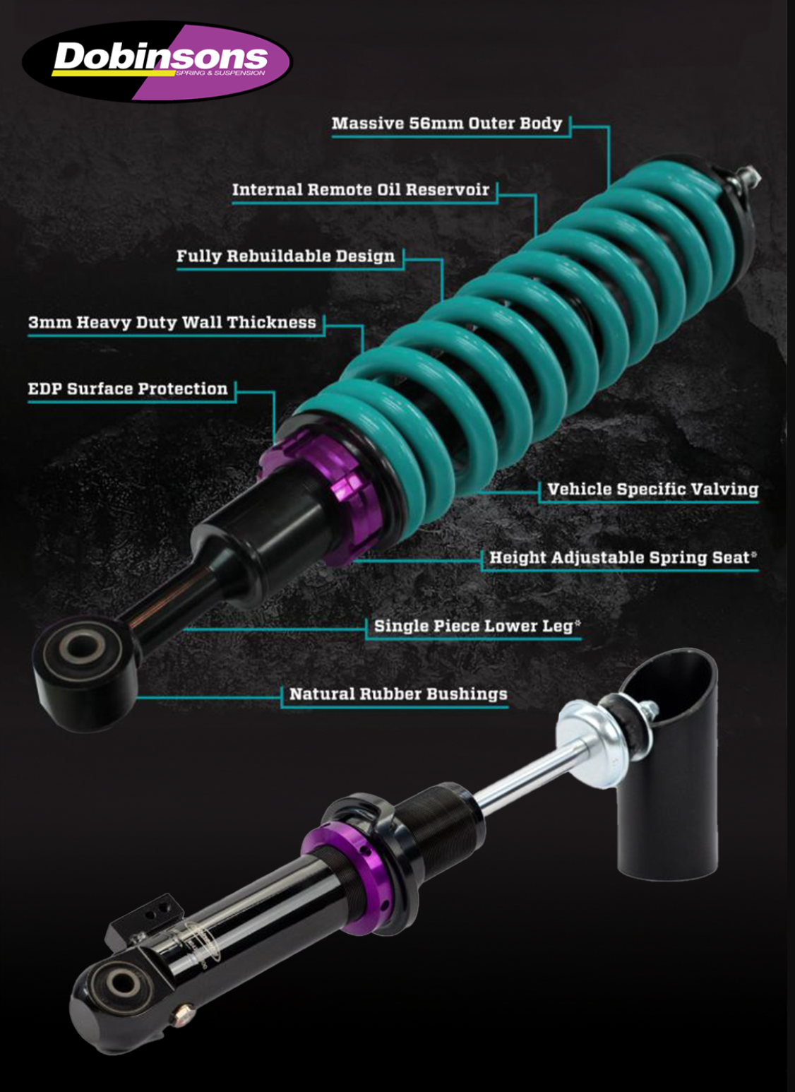 DOBINSONS IMS FRONT SHOCKS