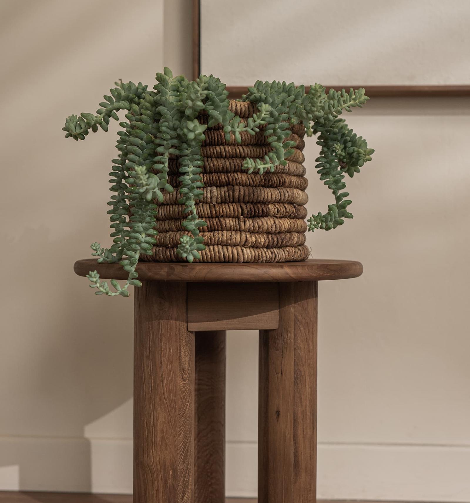 dBodhi Dino Round Tall Coffee Table - Floor Stock