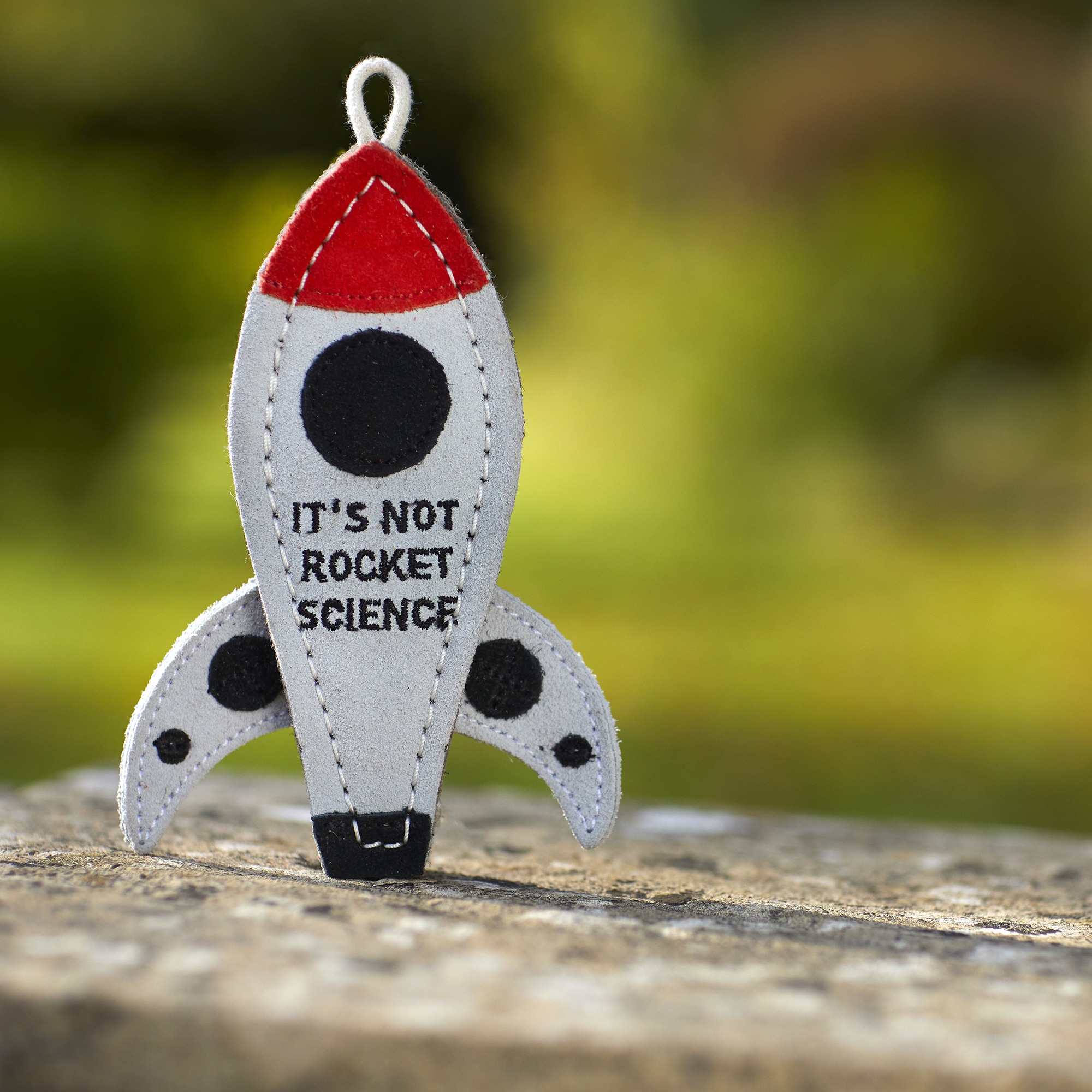 It s Not Rocket Science Eco Dog Toy Green And Wilds Retail It s Not Rocket Science Eco Dog Toy Green And Wilds Retail