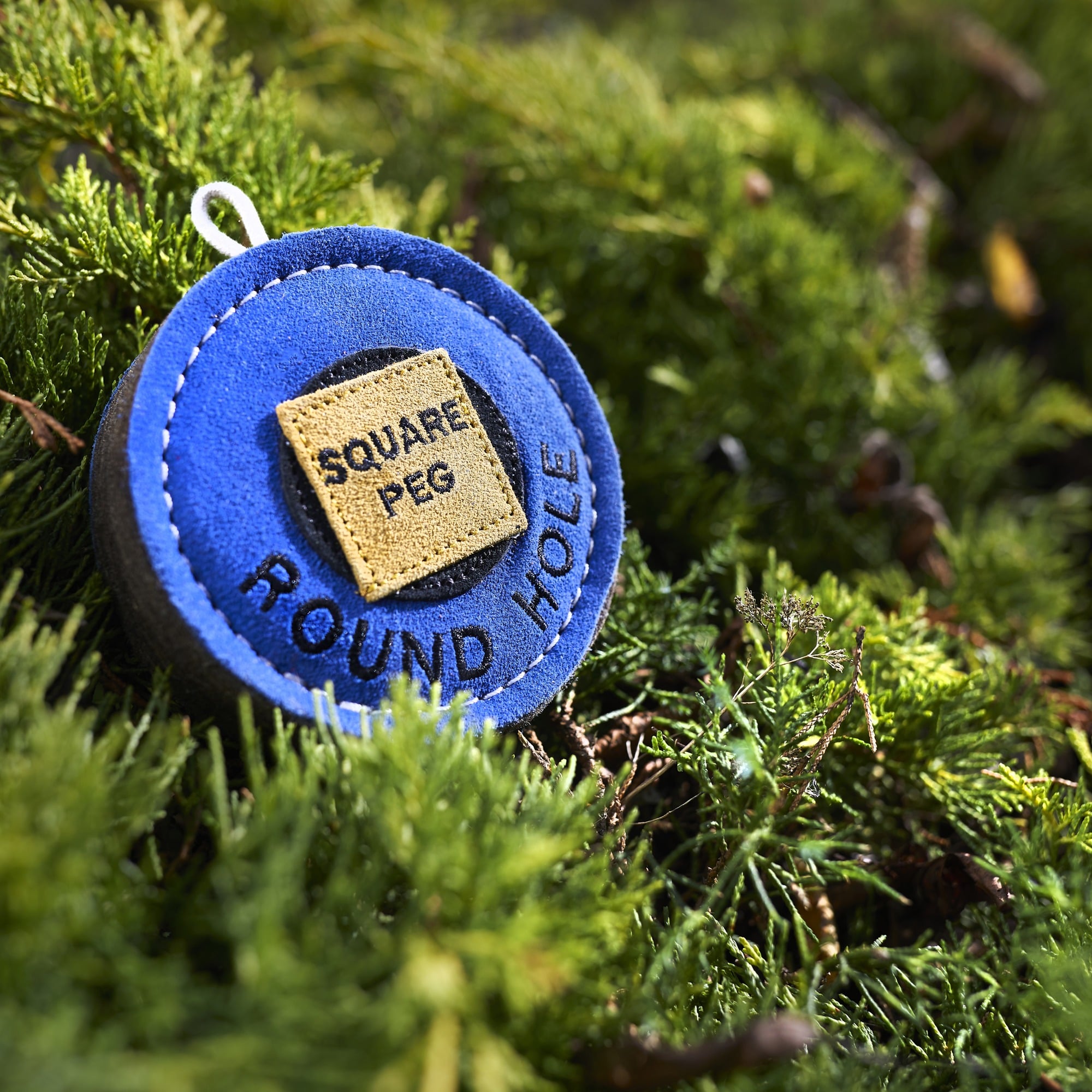 Square Round Square Peg - Round Hole, Eco Dog Toy – Green and Wilds - Retail