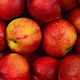 Apple Cider Vinegar