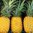 Pineapple Juice