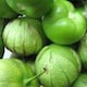 Tomatillos