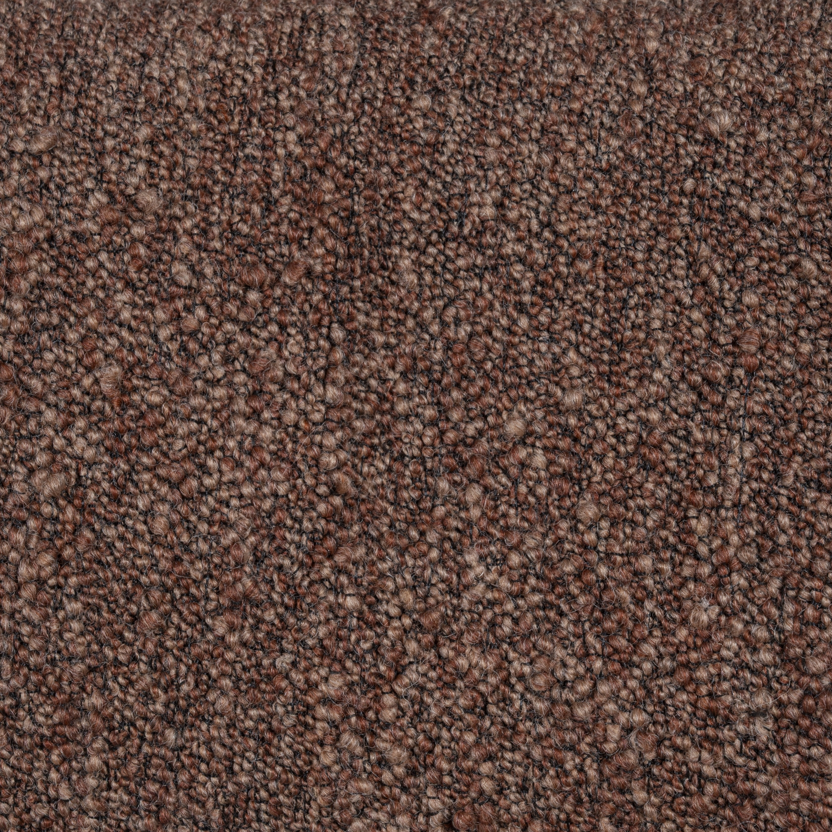 Cinnamon
