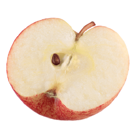 Apple Fruit Cell Culture