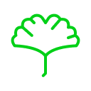 Ginko BilobaGingko biloba, a powerful ingredient for the brain, increases blood flow to the brain, improving cognitive function and memory. It has neuroprotective properties that help protect the brain from age-related decline and damage, supporting optimal brain function and long-term brain health. It may also reduce oxidative stress for better overall brain function