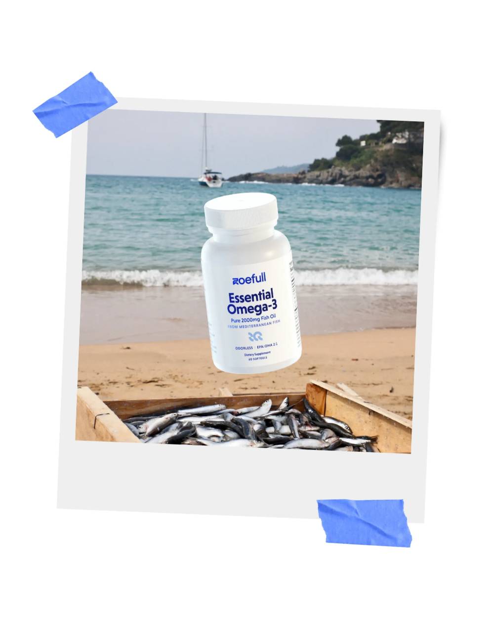 Design showcases zoefull's essential omega 3 product in front of the sea and a box of fresh fish.