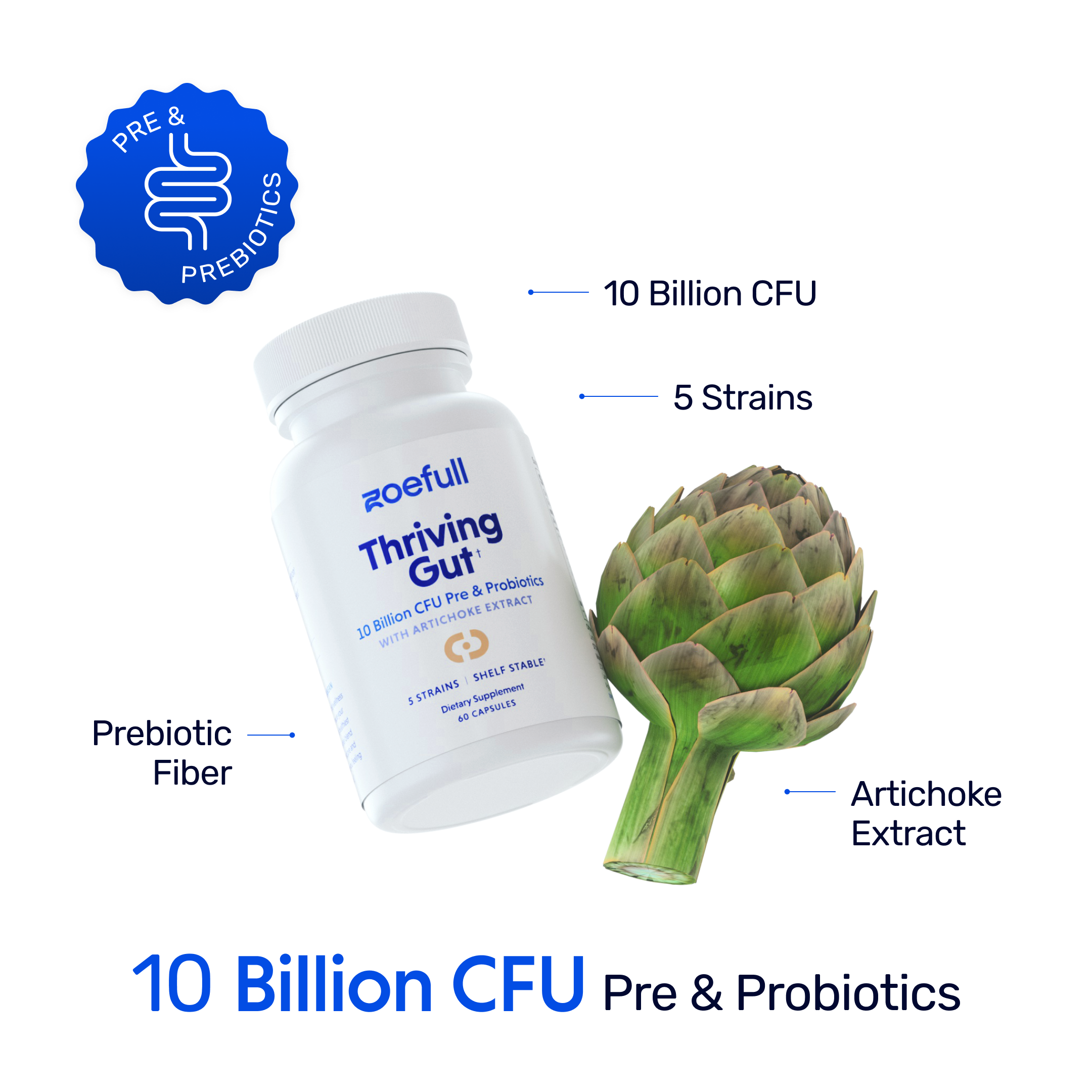 An image with zoefull's thriving gut supplement showcasing that it is made from the following mediterranean super ingredients: 10 Billion CFU, 5 Probiotic strains, Prebiotic fibre and Artichoke extract.