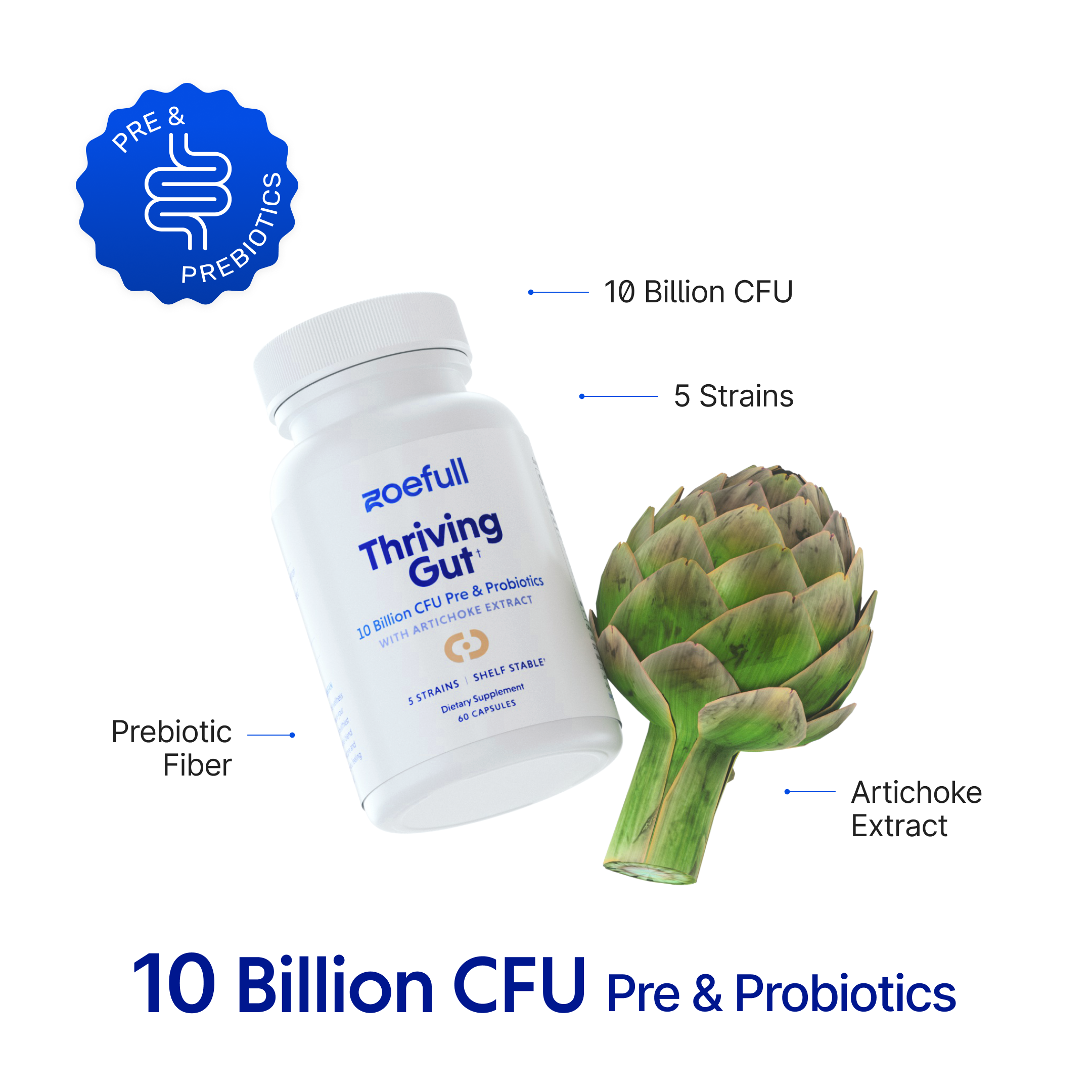 An image with zoefull's thriving gut supplement showcasing that it is made from the following mediterranean super ingredients: 10 Billion CFU, 5 Probiotic strains, Prebiotic fibre and Artichoke extract.