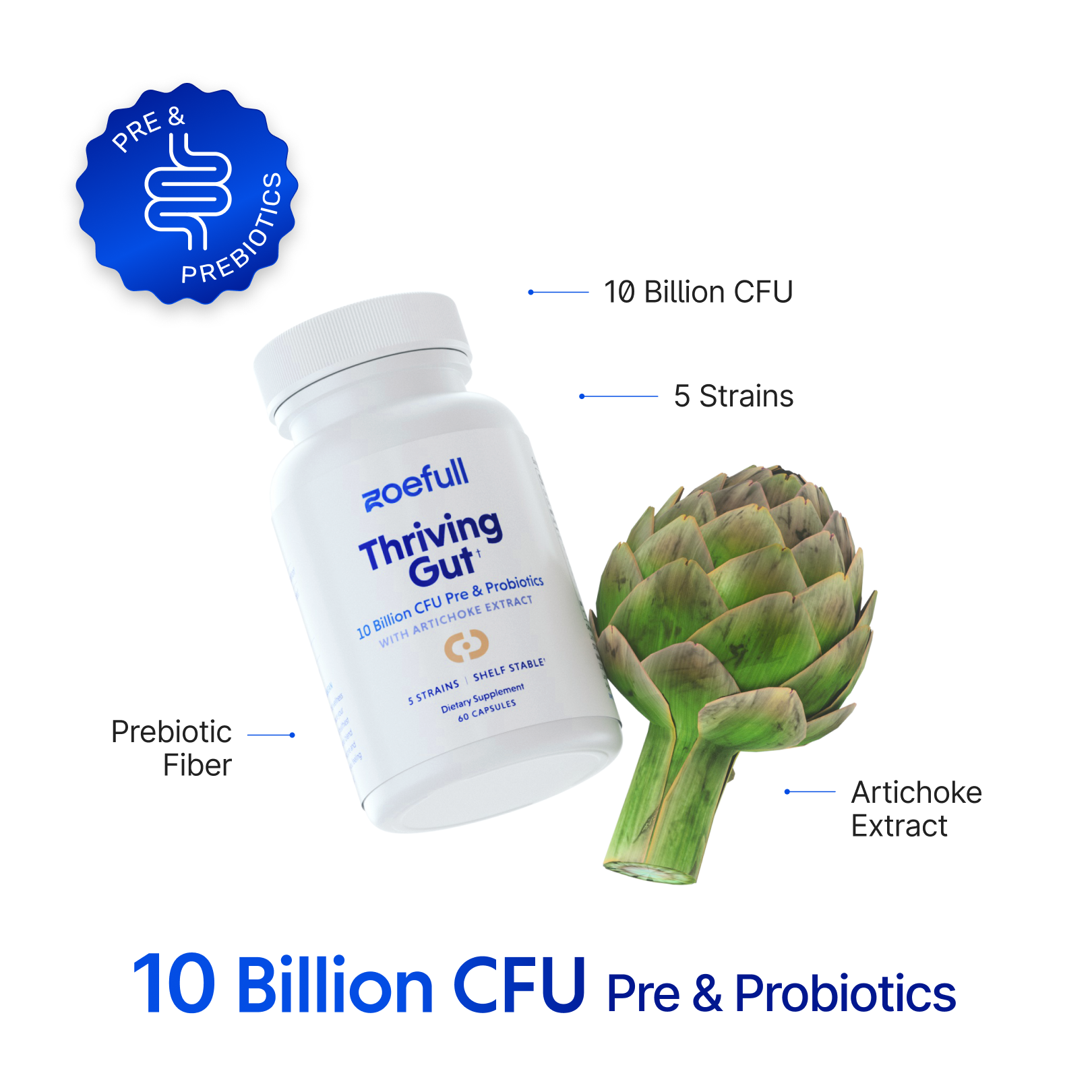 An image with zoefull's thriving gut supplement showcasing that it is made from the following mediterranean super ingredients: 10 Billion CFU, 5 Probiotic strains, Prebiotic fibre and Artichoke extract.