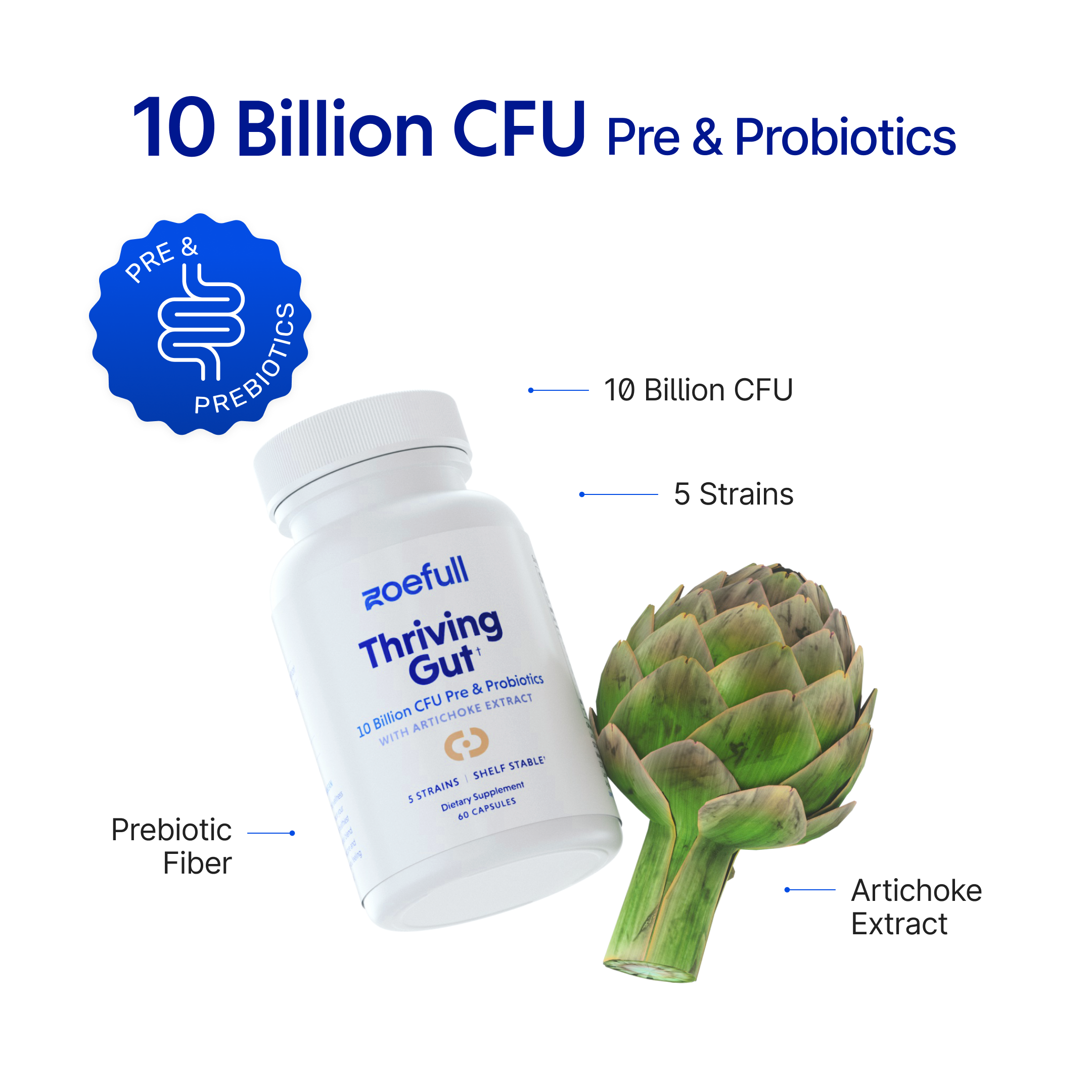 An image with zoefull's thriving gut supplement showcasing that it is made from the following mediterranean super ingredients: 10 Billion CFU, 5 Probiotic strains, Prebiotic fibre and Artichoke extract.