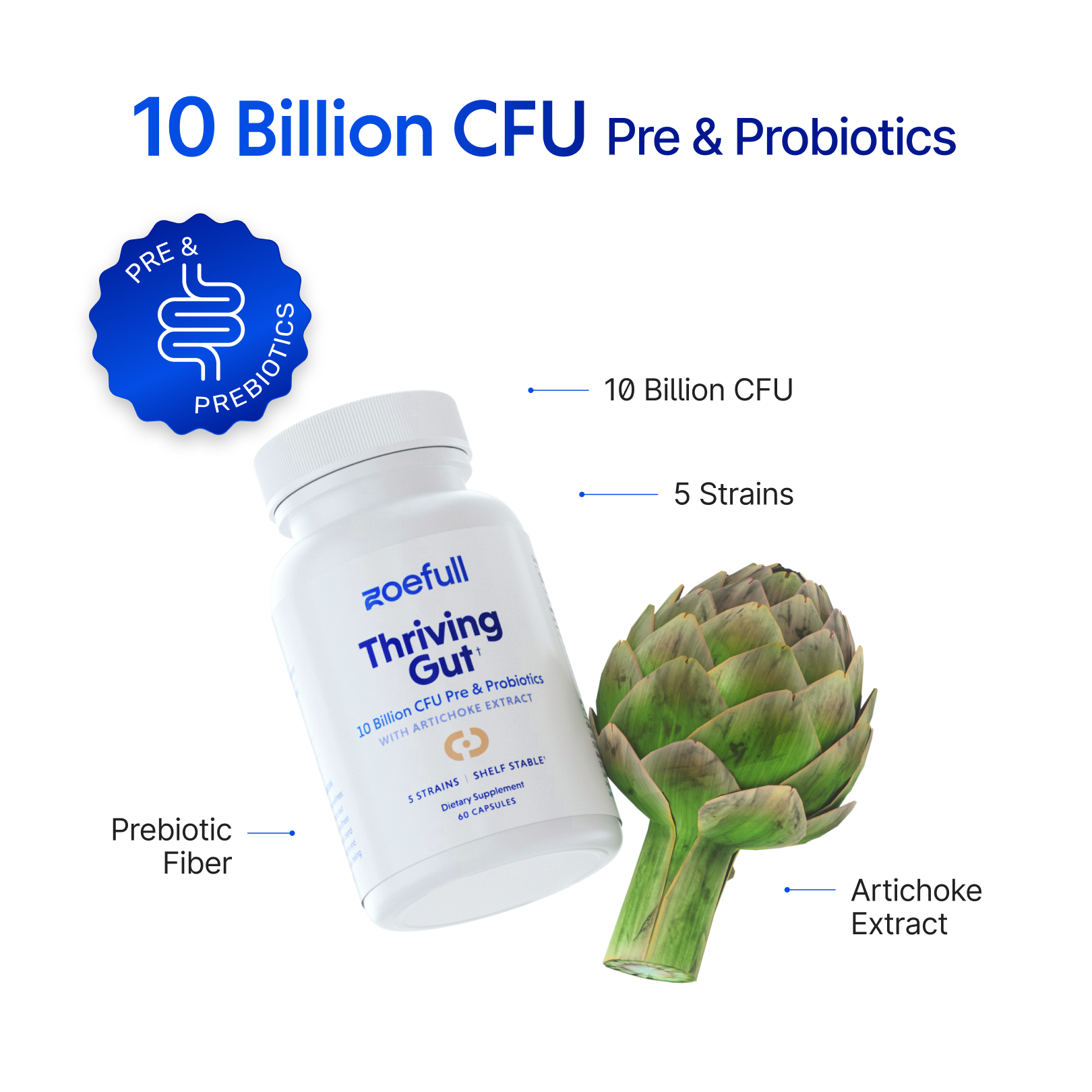 An image with zoefull's thriving gut supplement showcasing that it is made from the following mediterranean super ingredients: 10 Billion CFU, 5 Probiotic strains, Prebiotic fibre and Artichoke extract.