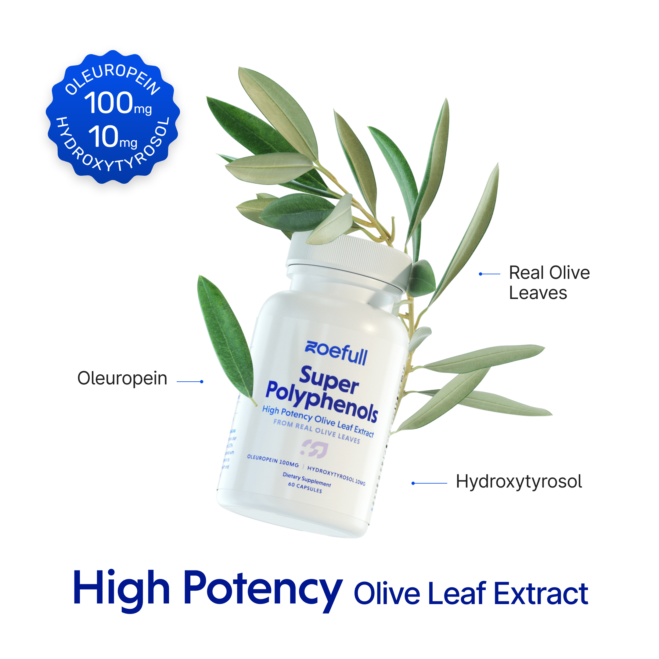 An image with zoefull's super polyphenol olive leaf extract supplement showing that it is made of these mediterranean super ingredients: oleuropein, hydroxytyrosol and real olive leaves. It says that this product is a high potency olive leaf extract.