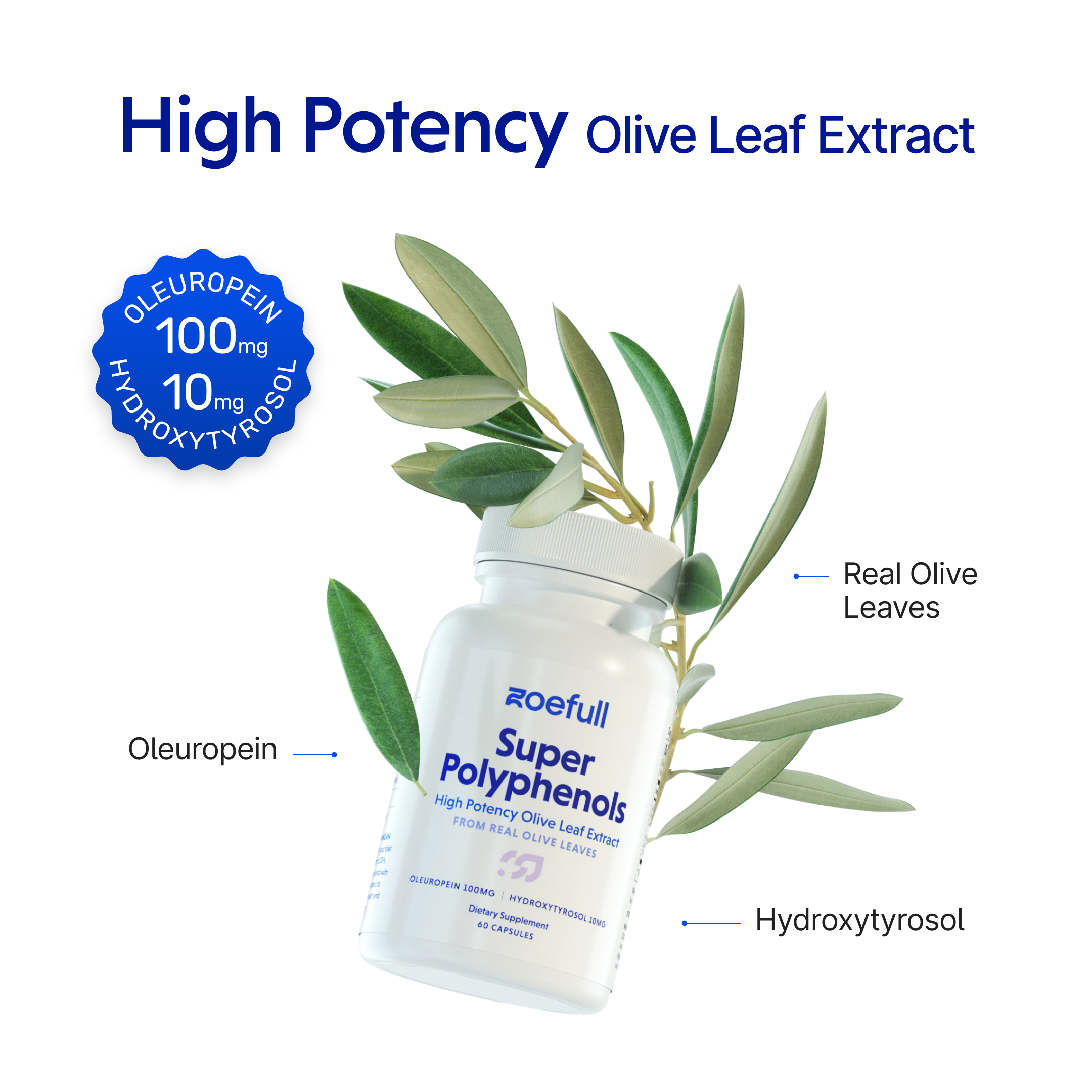 An image with zoefull's super polyphenol olive leaf extract supplement showing that it is made of these mediterranean super ingredients: oleuropein, hydroxytyrosol and real olive leaves. It says that this product is a high potency olive leaf extract.