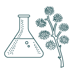 SAFFLOWER OLEOTECH™