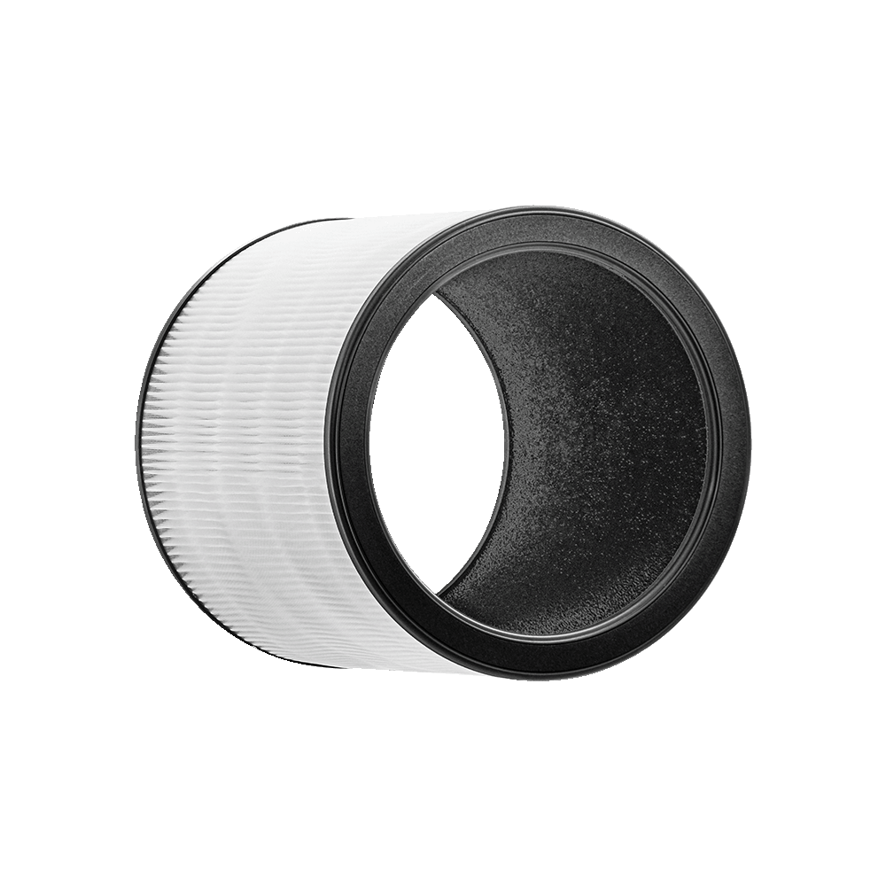 Airmega 100 Filter