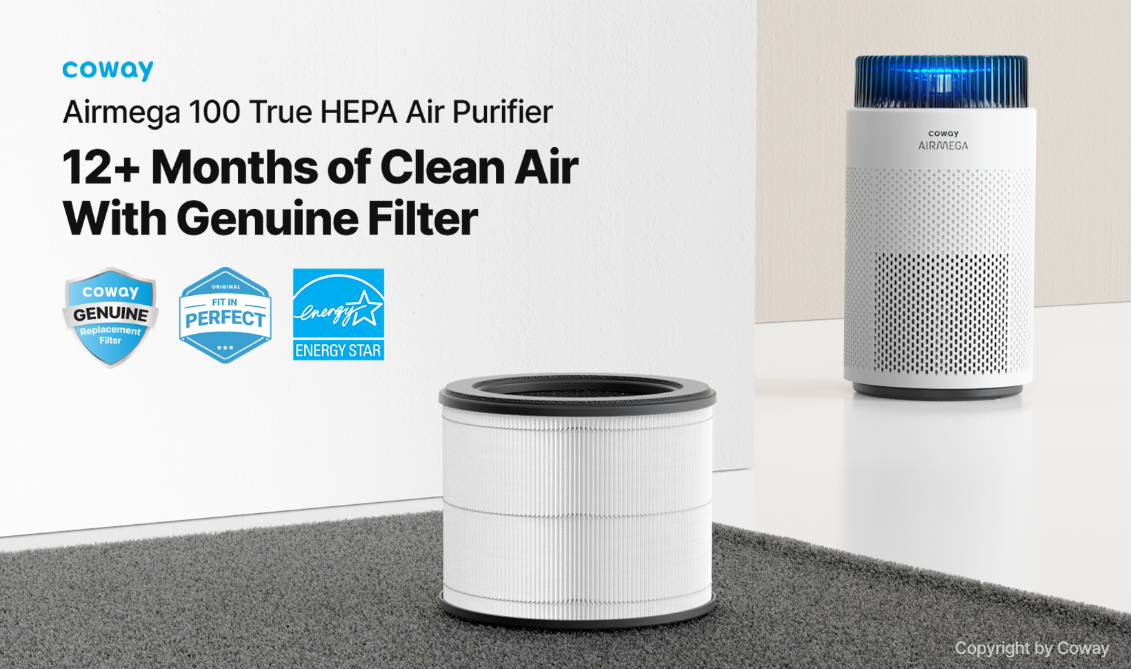 Airmega 100 replacement filter lasts 12+ months