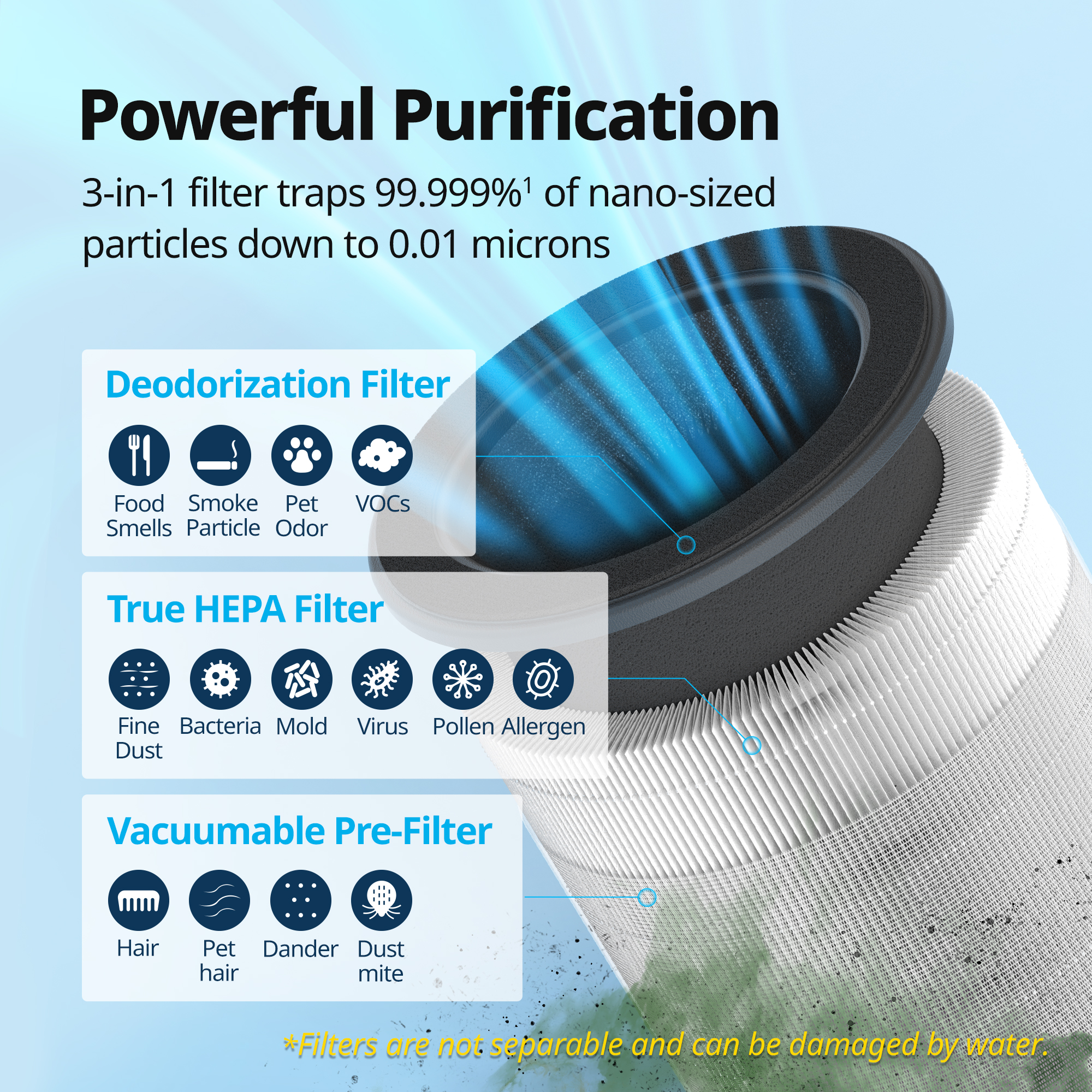 Airmega 100 Filter