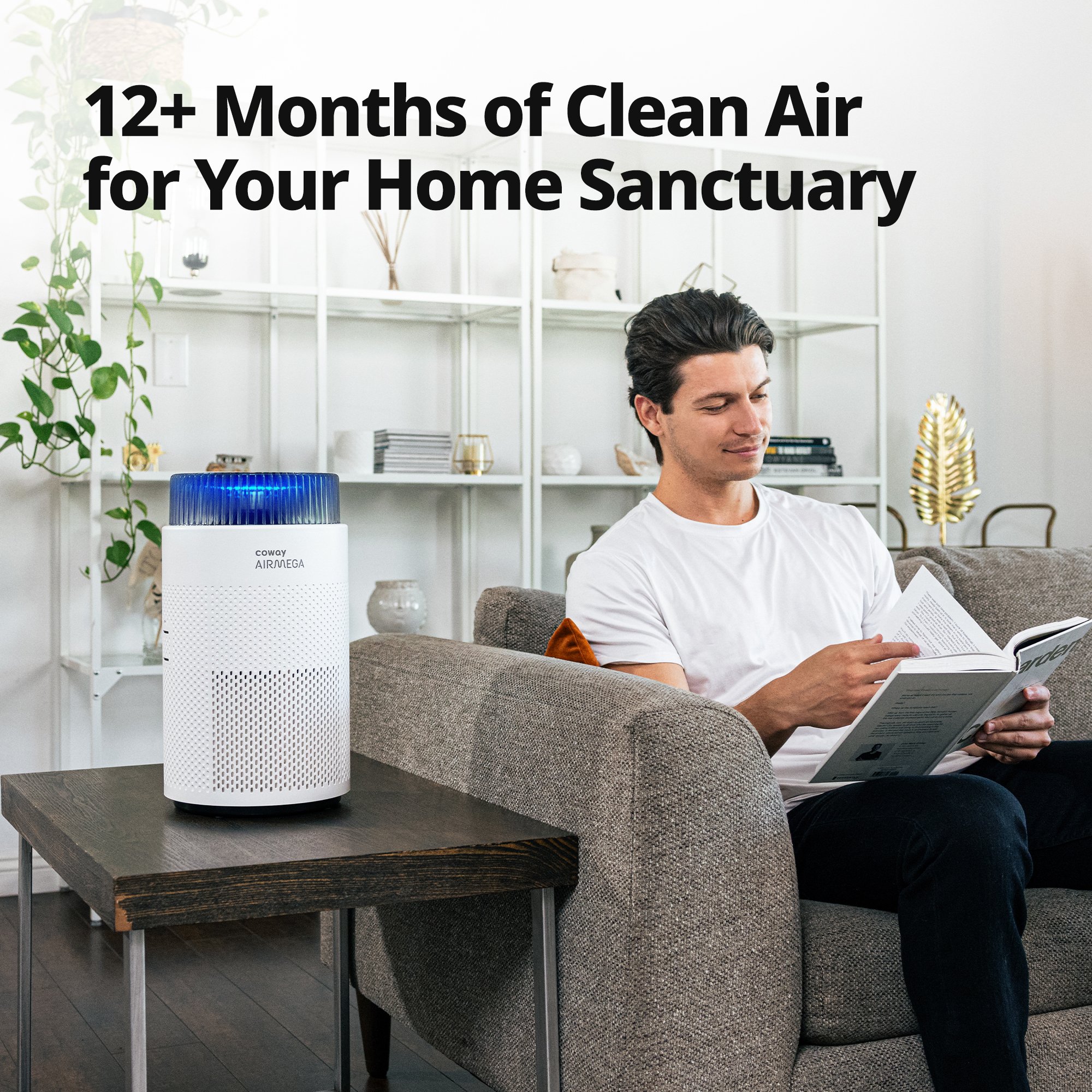 12+ Months of Clean Air for Your Home Sanctuary