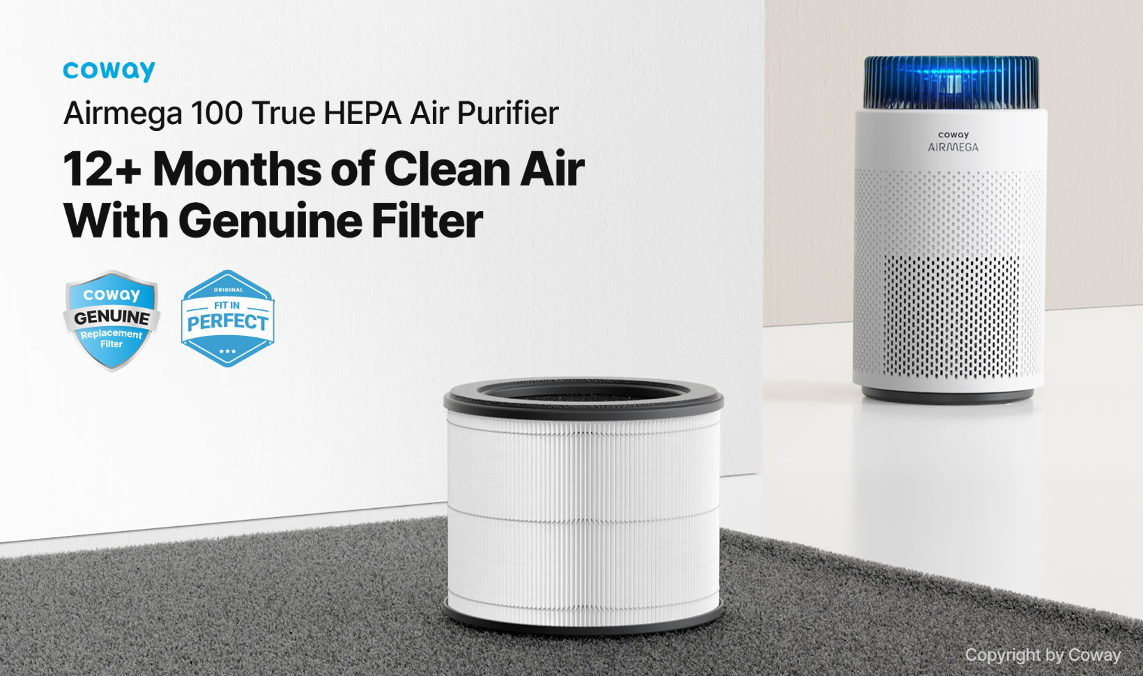Airmega 100 replacement filter lasts 12+ months