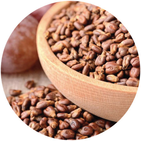 Grape Seed Oil