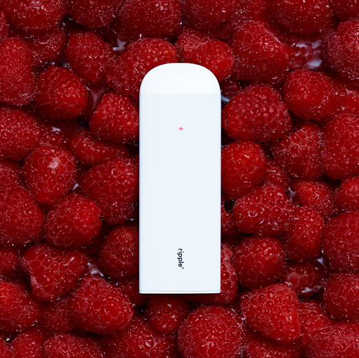 raspberry aroma